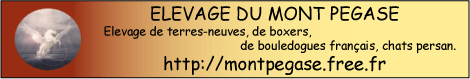 Elevage du mont pegase